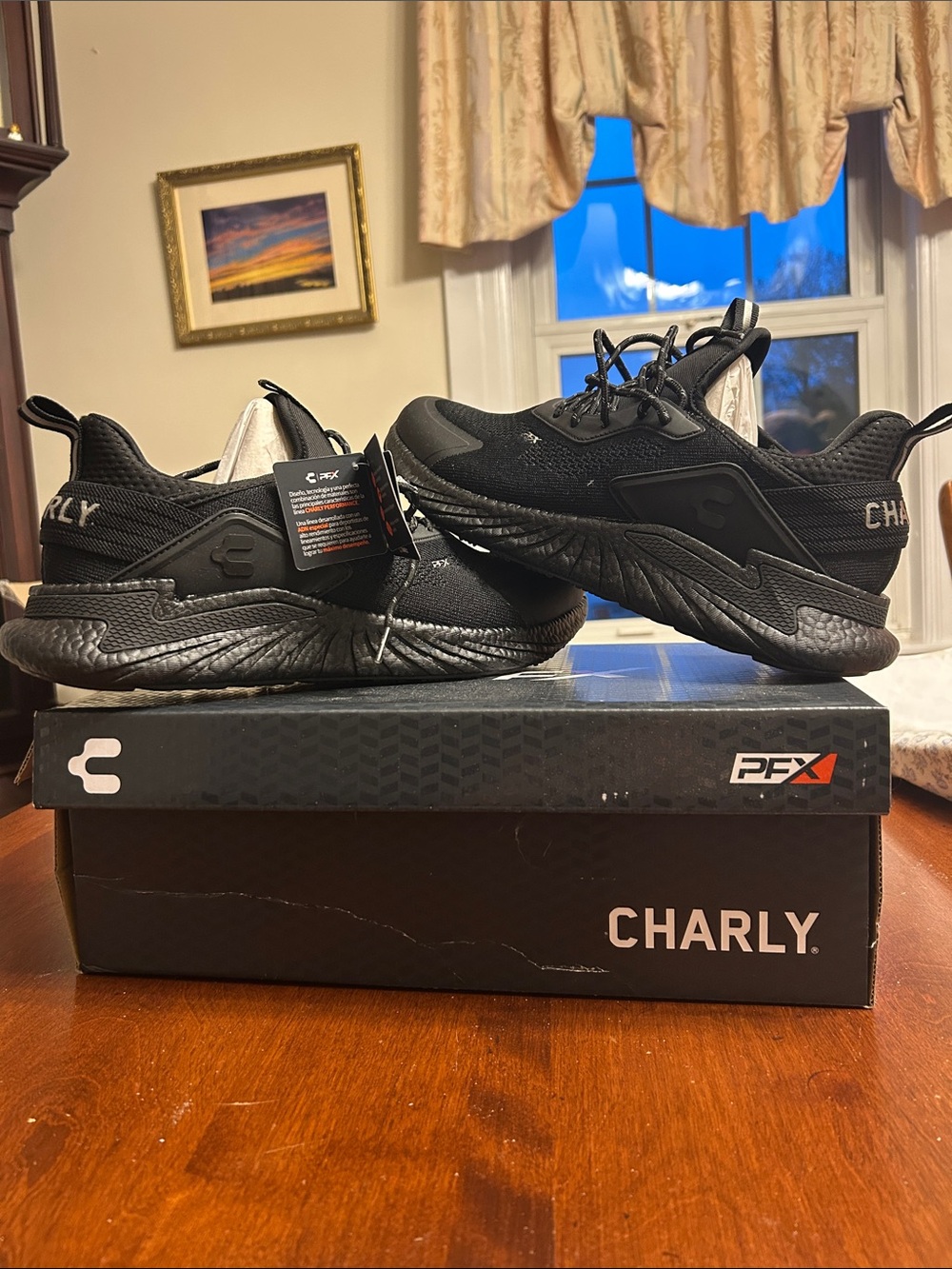Charly Men's All-Black Performance Sneakers size 11